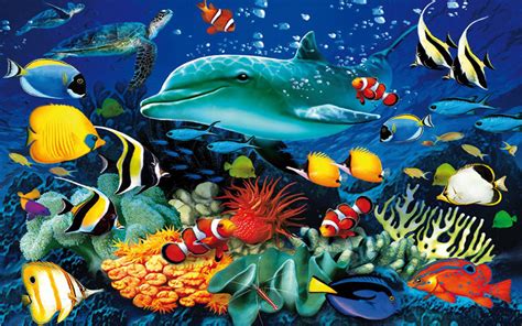 Sea Animals and Fish .